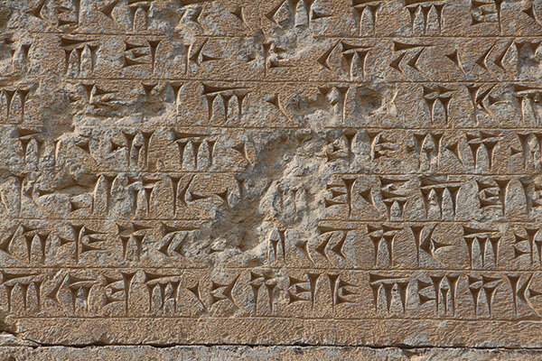 وضعیت کتیبه داریوش یکم هخامنشی در تخت جمشید کتیبه مهم داریوش در معرض آسیب جدی + عکس