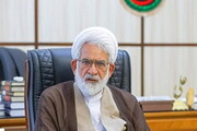 منتظری: رای وحدت رویه «حق مطالبه بهای ملک» در جهت صیانت از حقوق مالکین و خریداران است