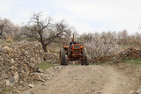 شکوفههای بهاری در شهرستان اهر