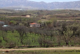 شکوفههای بهاری در شهرستان اهر