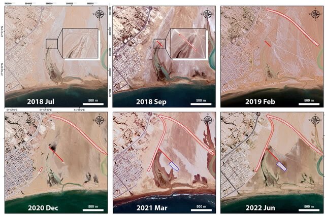 نابودی سریع جنگلهای حرا در شمال خلیج فارس؛ زنگ خطری برای محیط زیست ساحلی ایران