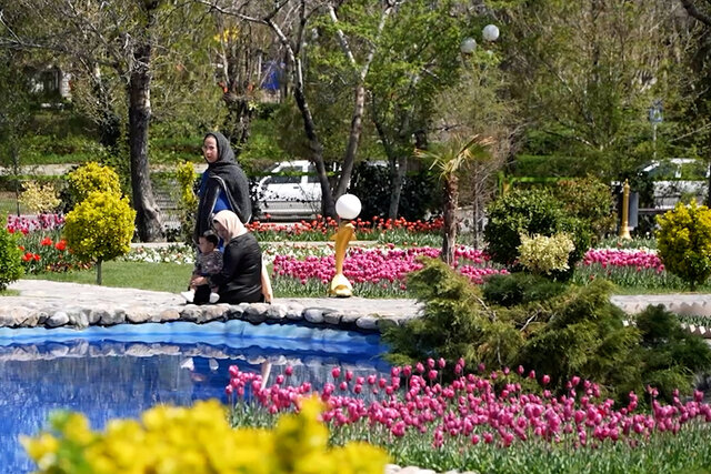 ویدیو/ باغ گلهای لاله در اراک ویدیو/ باغ گلهای لاله در اراک