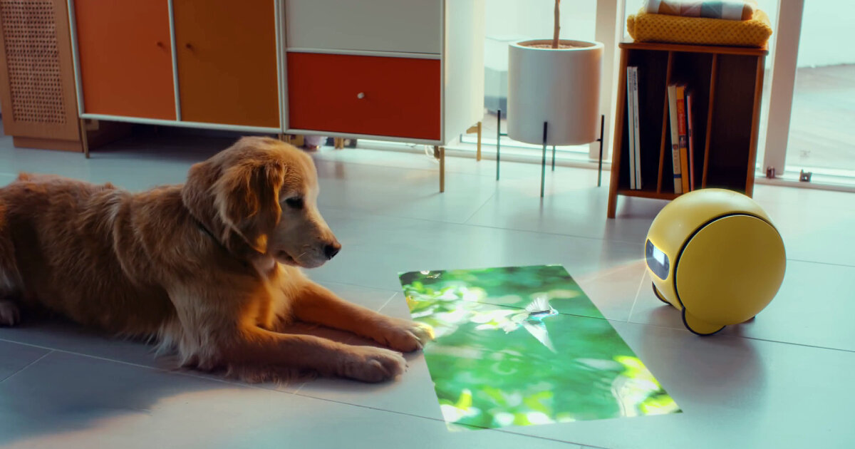 همکاری سامسونگ و گوگل برای مجهز کردن ربات «بالی» به هوش مصنوعی