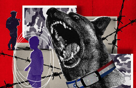 مشارکت سگ‌های هلندی در جنایات جنگی ارتش صهیونیستی