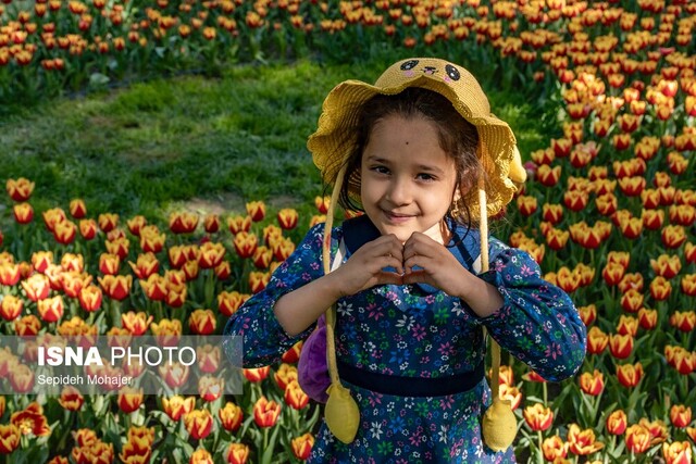 به دنبال اجرای طرحهای تعاملی برای المانهای نوروزی ۱۴۰۵ هستیم