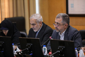 جلسه کمیسیون اجتماعی مجلس