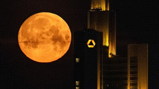 آلبوم تصاویر «ماه صورتی آوریل» در سراسر جهان