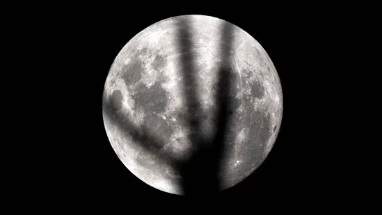 آلبوم تصاویر «ماه صورتی آوریل» در سراسر جهان