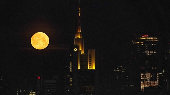 آلبوم تصاویر «ماه صورتی آوریل» در سراسر جهان