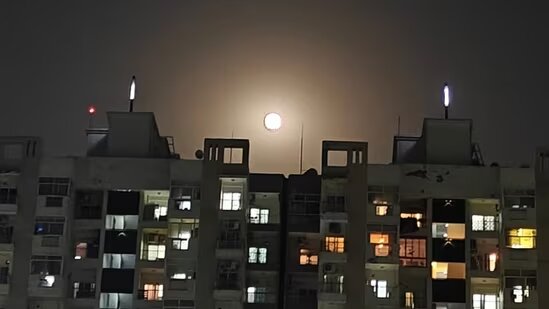 آلبوم تصاویر «ماه صورتی آوریل» در سراسر جهان