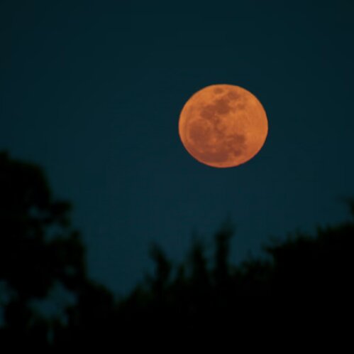 آلبوم تصاویر «ماه صورتی آوریل» در سراسر جهان