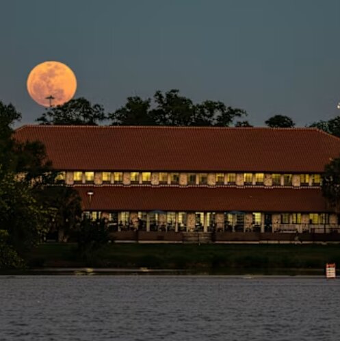 آلبوم تصاویر «ماه صورتی آوریل» در سراسر جهان