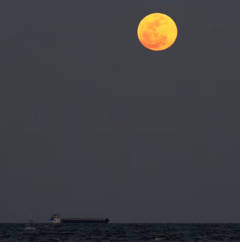 آلبوم تصاویر «ماه صورتی آوریل» در سراسر جهان