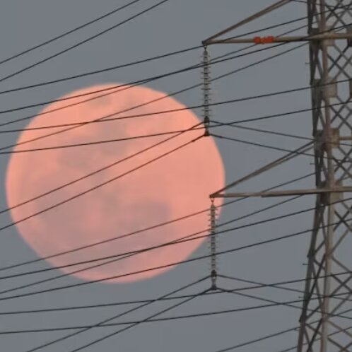 آلبوم تصاویر «ماه صورتی آوریل» در سراسر جهان