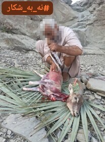 شناسایی متخلف محیط زیستی با رصد فضای مجازی