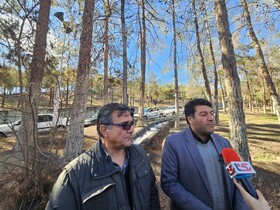 خروج ۸۰۰۰ درخت آلوده از بوستان چیتگر/ کاشت ۲۳ هزار درخت جدید