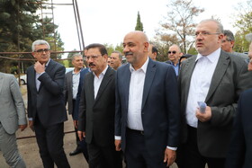 حمایت از تعاونی‌ها عامل اشتغال پایدار در کشور است