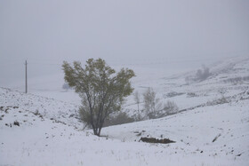 سامانه بارشی سرد از یکشنبه وارد ایلام می‌شود/ احتمال برف در ارتفاعات و نواحی سردسیر