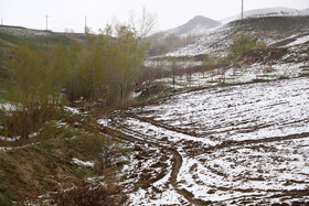 بارش برف بهاری در شهرستان اهر
