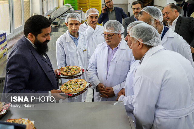 پیشبینی تولید ۹ میلیون تن گندم در سال جاری