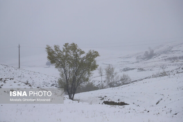 برف و باران در ۲۸ استان/ از سفر غیرضروری بپرهیزید