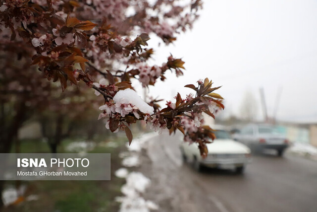 پیش‌بینی بارش برف و باران در قزوین