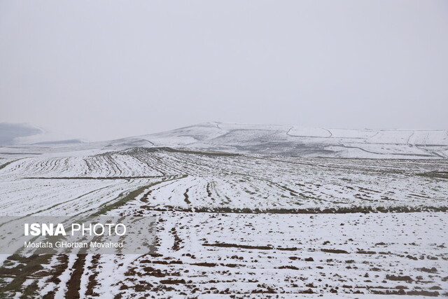عکس تزئینی است پیشبینی افزایش ناپایداری و احتمال بارش برف در زنجان