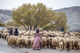 کوچ عشایر فارس در قاب رنگ ها