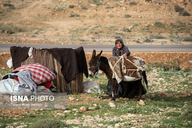 زنان عشایر؛ ستون پنهان تولید و پایداری در دل کوچنشینی ایران