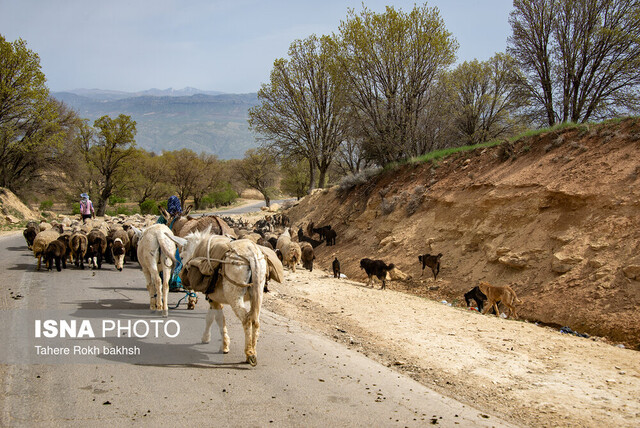 اهمیت تأمین آب و امنیت برای جمعیت عشایر در خراسان جنوبی