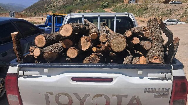 توقیف محموله ۸۰۰کیلویی چوب قاچاق و گیاهان مرتعی غیرمجاز در شهرستان بویراحمد