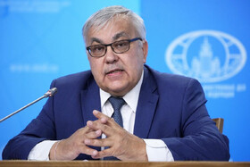 همکاری مشترک روسیه و کشورهای اسلامی بر روی کنوانسیون جرایم سایبری
