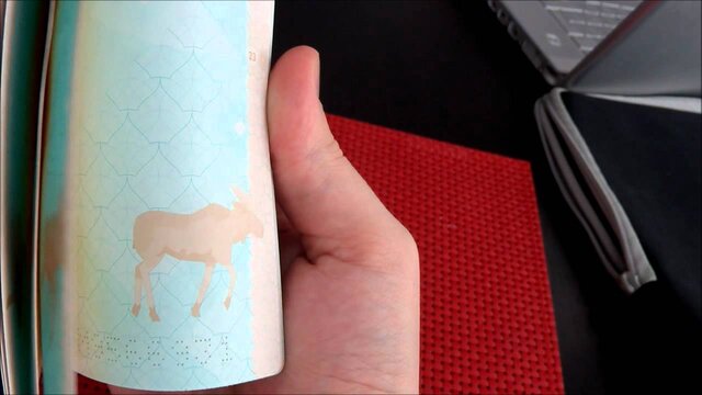 زیباترین و خلاقترین پاسپورتهای جهان