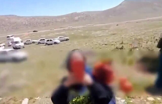 با عوامل چیدن لالههای واژگون در سپیدان برخورد میکنیم با عوامل چیدن لالههای واژگون در سپیدان برخورد میکنیم