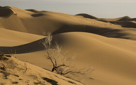 کویر عشق‌آباد میزبان دو جشنواره از ابتدای سال ۱۴۰۴