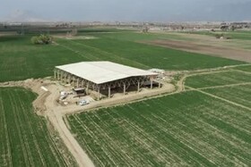 ساماندهی مسیر دسترسی به محوطه تل آجری تخت جمشید