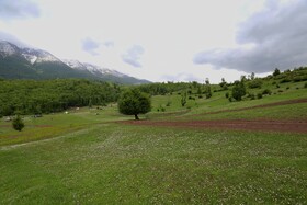 رودبار طبیعت گمشده‌ی گیلان