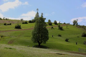 رودبار طبیعت گمشده‌ی گیلان