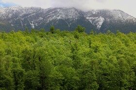 رودبار طبیعت گمشده‌ی گیلان