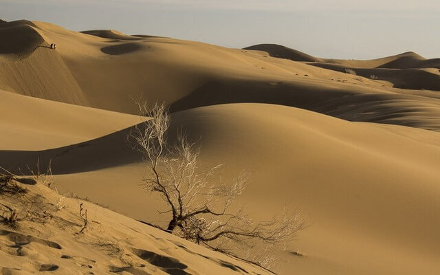 کویر عشق‌آباد میزبان دو جشنواره از ابتدای سال ۱۴۰۴