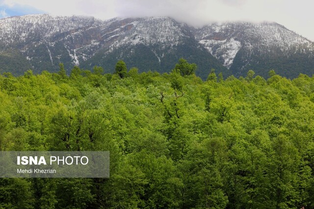 ایران زیباست؛ رودبار طبیعت گمشده‌ی گیلان