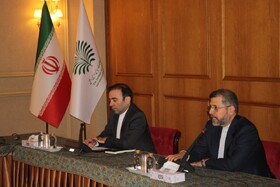 تشریح جزئیات مجمع گفت‌وگوی تهران در دیدار با تعدادی از سفرای خارجی
