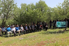 حفاظت از محیط زیست نیازمند آموزش به کودکان است