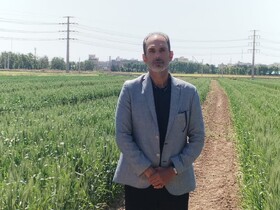 ایستگاه پژوهشی ورامین؛ سایت‌ معرفی ارقام گندم و جو در اقلیم معتدل