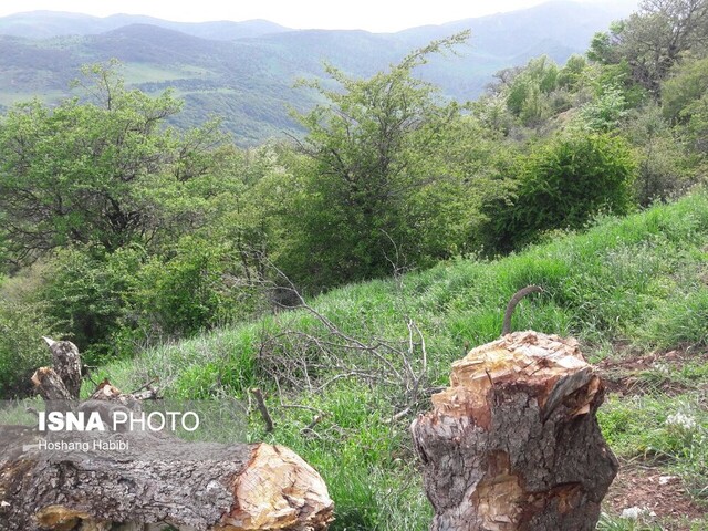 فعالیتهای انسانی و توسعه ناپایدار چالشهای امروزند فعالیتهای انسانی و توسعه ناپایدار چالشهای امروزند