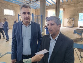 برنامه‌ریزی کاملی برای تولید و صادرات سیب‌زمینی وجود ندارد