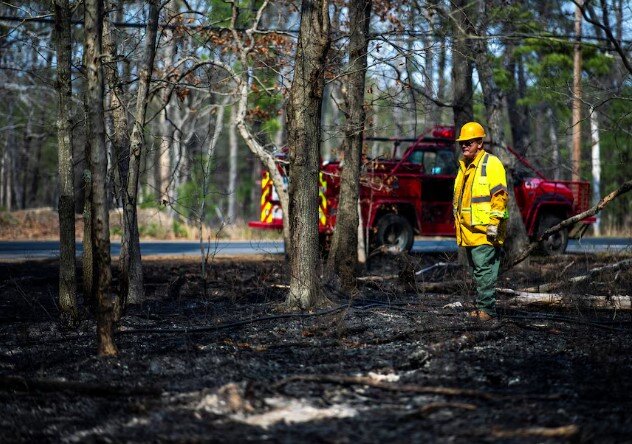 عکس: رویترز ادامه آتش سوزی جنگلی در «نیوجرسی» آمریکا