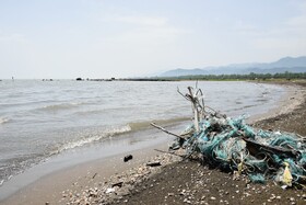 دستگیری ۸ صیاد متخلف در تالاب نوروزلوی میاندوآب