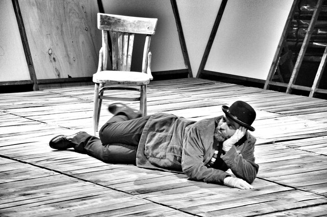 پینوکیو بعد از انسان شدن، چه کرد؟