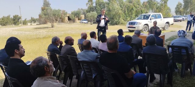 مبارزه با آفت سوسک سرخرطومی خشکیدگی درخت خرما در ایلام